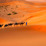 private tour from casablanca to sahara desert 8 days