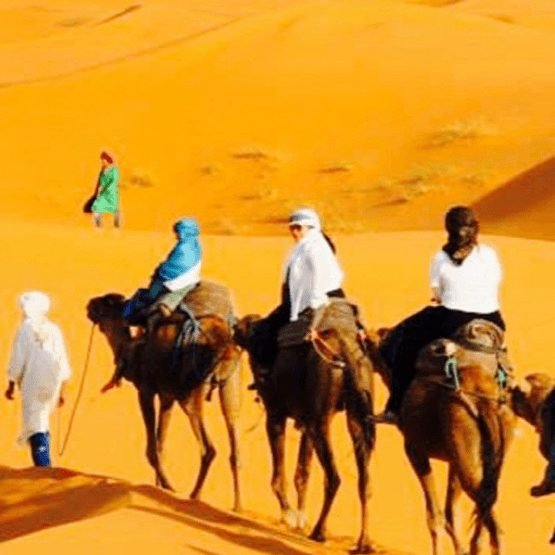 Marrakech to Merzouga: 3 days desert trip